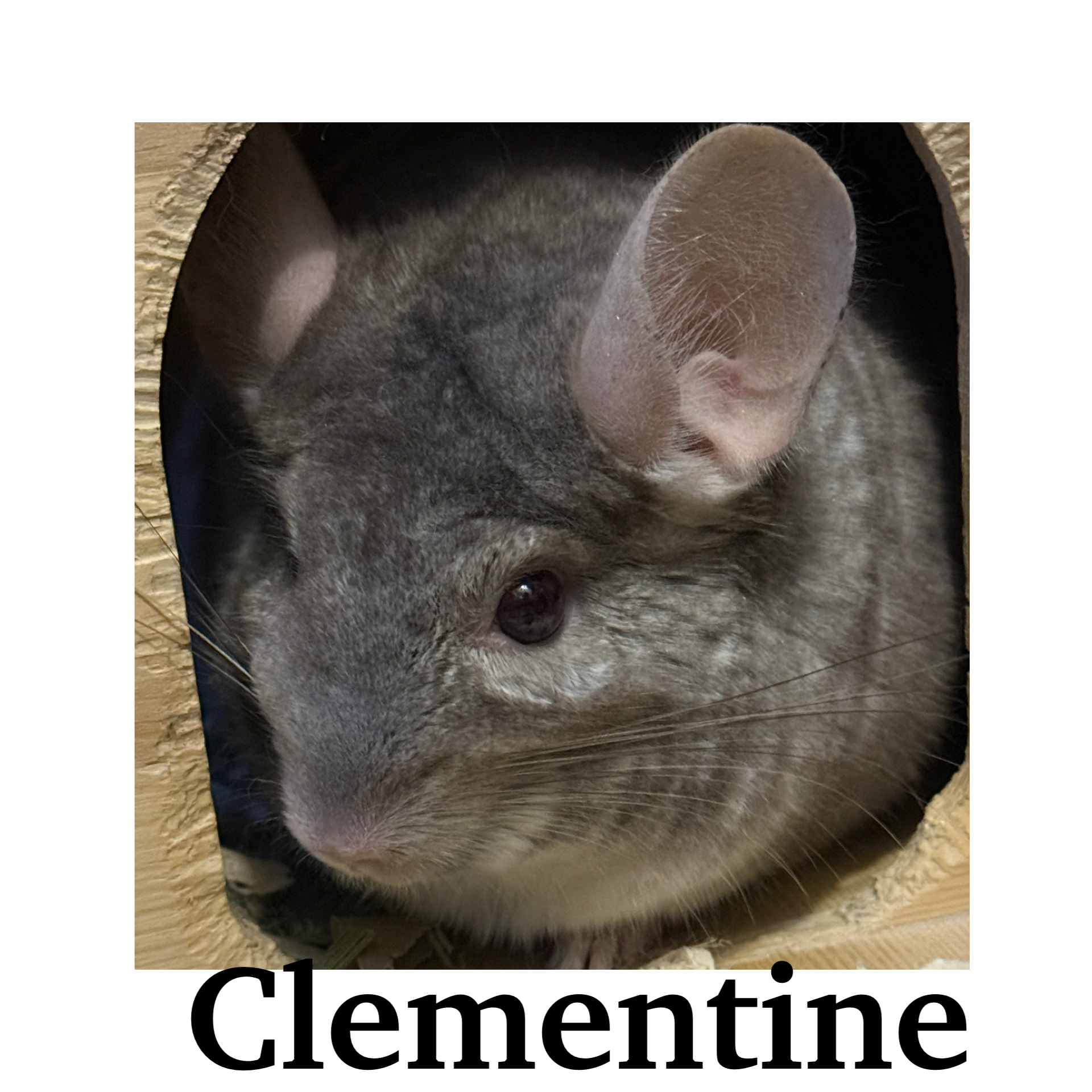 Clementine